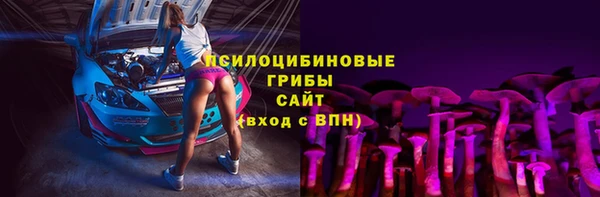PSILOCYBIN Протвино