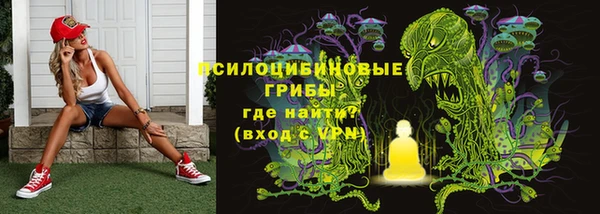 PSILOCYBIN Протвино