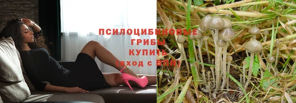 мяу мяу мука Пролетарск