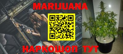стаф Новозыбков