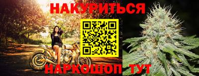 стаф Новозыбков