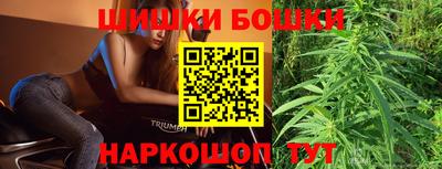стаф Новозыбков