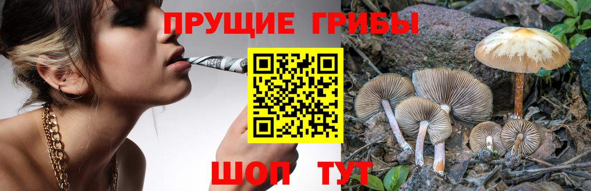 Псилоцибиновые грибы Magic Shrooms Пенза