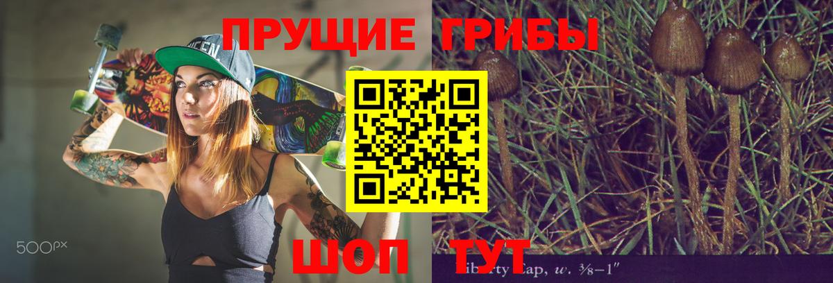 Галлюциногенные грибы мицелий  Вход с VPN  Пенза 