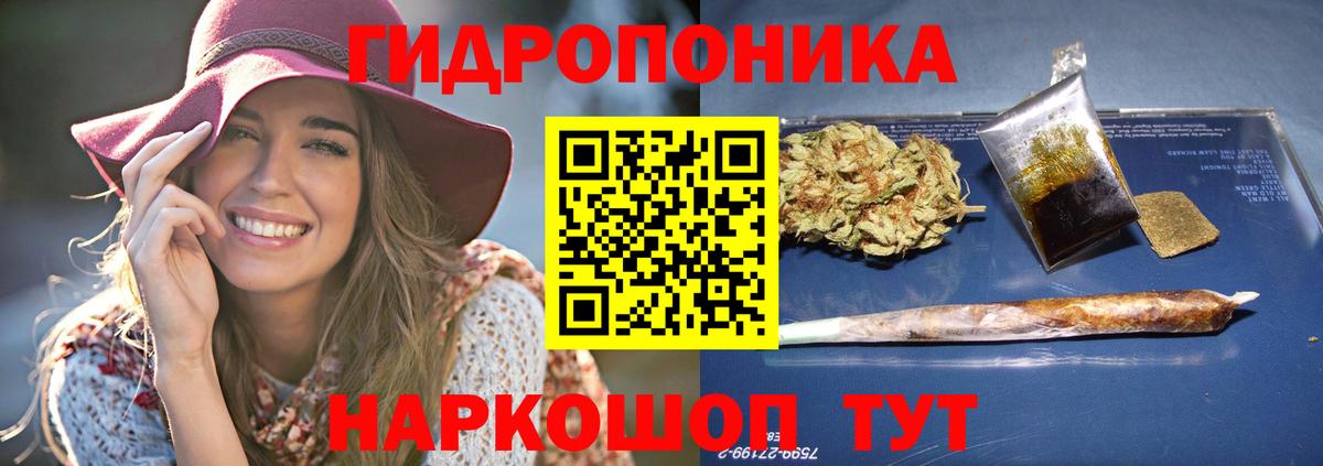 Бошки марихуана Ganja  Конопля ГИДРОПОН  Пенза  Канабис план  Вход с VPN  Конопля Bruce Banner 